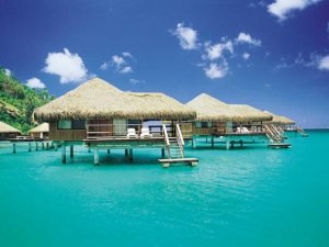 bulan madu di bora-bora
