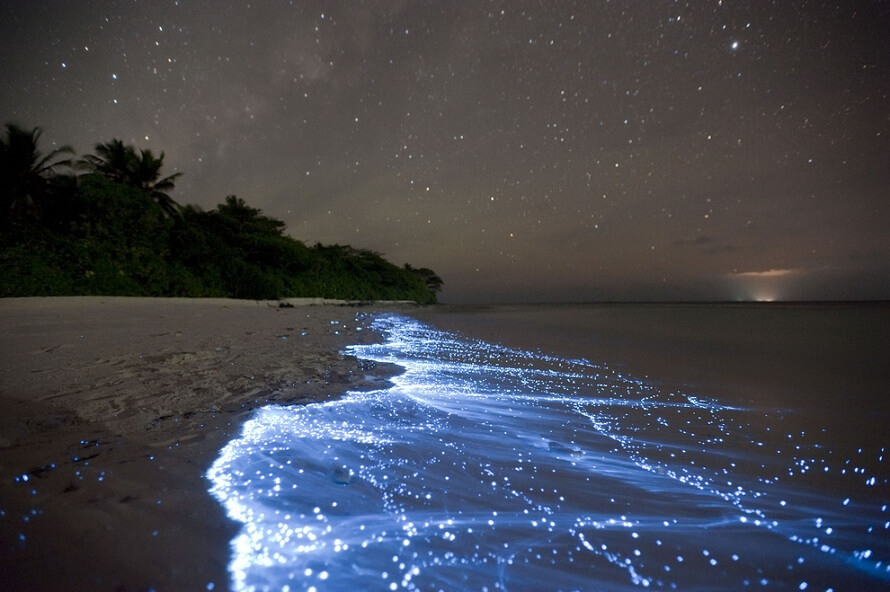 pemandangan menarik di Vaadhoo Island