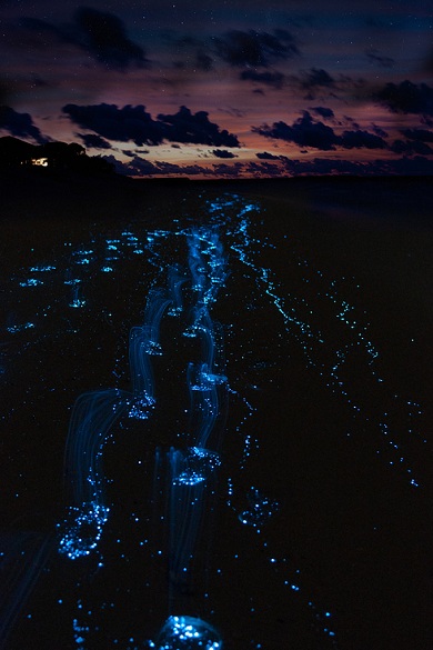 pemandangan menarik di Vaadhoo Island
